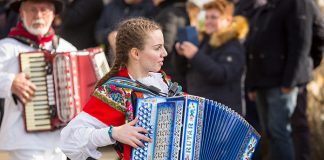 Katere harmonike poznamo? Vrste harmonik